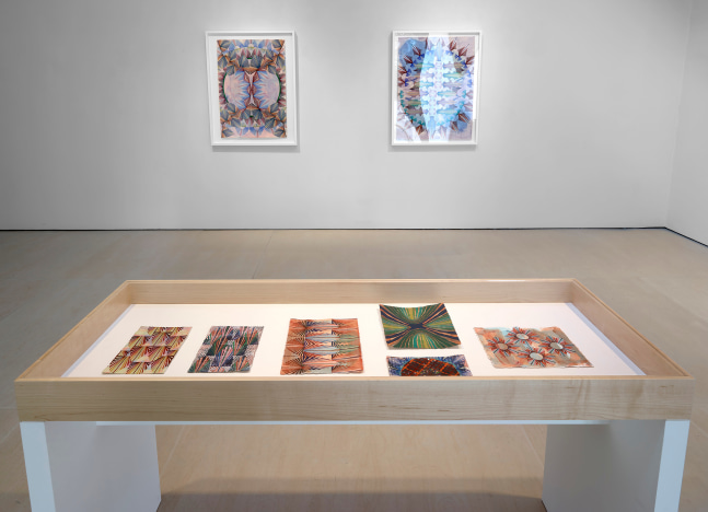 Installation view, Gates of Cilicia, McClain Gallery, Houston, TX, February 2021