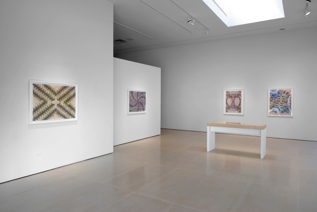 Installation view, Gates of Cilicia, McClain Gallery, Houston, TX, February 2021