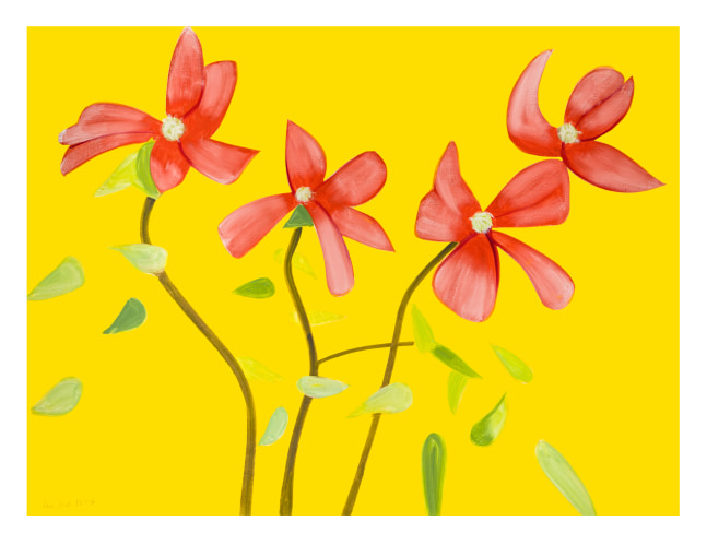 Alex Katz  Red Dogwood 1 (from Flowers Portfolio), 2021 archival pigment inks on Innova etching cotton rag 315 gsm paper: 35 x 47 inches frame: 39 1/4 x 50 7/8 inches Edition 26 of 100