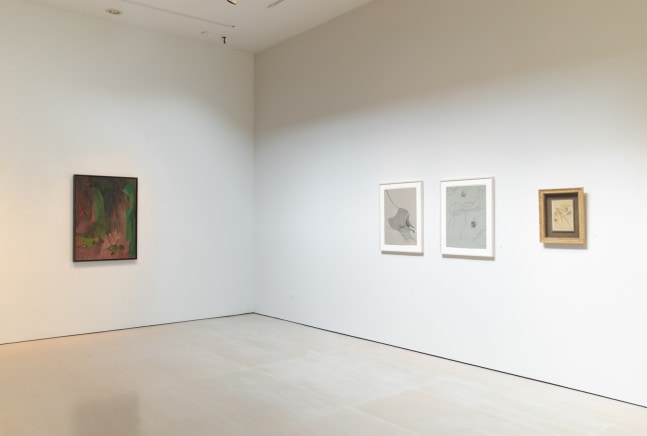 COSMIC EYE OF THE LITTLE BIRD