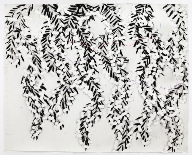 Donald Sultan Mimosa with Purple String Nov 16 2022, 2022 charcoal, conte crayon, and graphite on paper  paper: 48 x 60 inches  frame: 56 1/2 x 69 3/4 inches