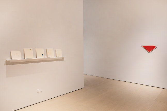 Installation view, Stray Cats with Kittens, McClain Gallery, 2022