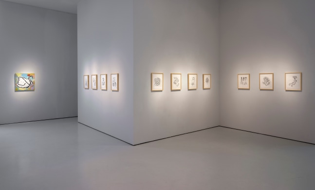 Installation view, Remedy of Anything, McClain Gallery, Houston, TX, May 2021