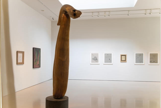 COSMIC EYE OF THE LITTLE BIRD