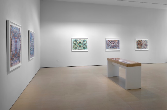 Installation view, Gates of Cilicia, McClain Gallery, Houston, TX, February 2021