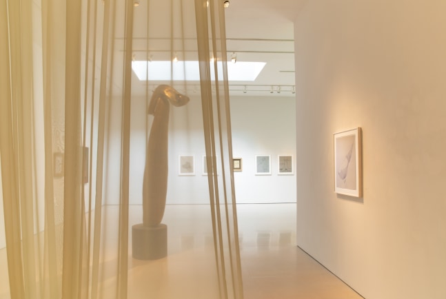 COSMIC EYE OF THE LITTLE BIRD