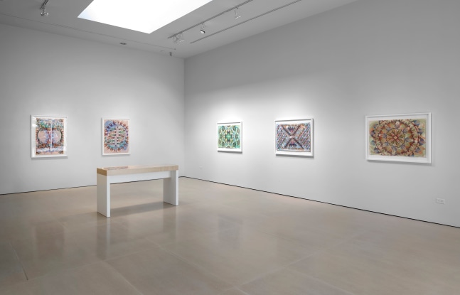 Installation view, Gates of Cilicia, McClain Gallery, Houston, TX, February 2021