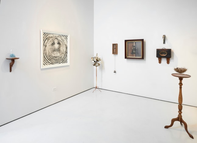 KARIN BROKER: MY CIRCUS