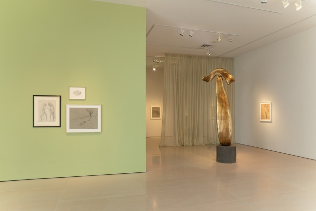 COSMIC EYE OF THE LITTLE BIRD