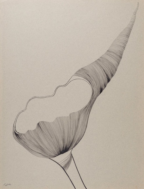 Dorothy Hood  Untitled, 1960s  pen and ink on gray Canson paper  paper: 25 1/4 x 19 1/2 inches  frame: 31 6/8 x 25 15/16 inches