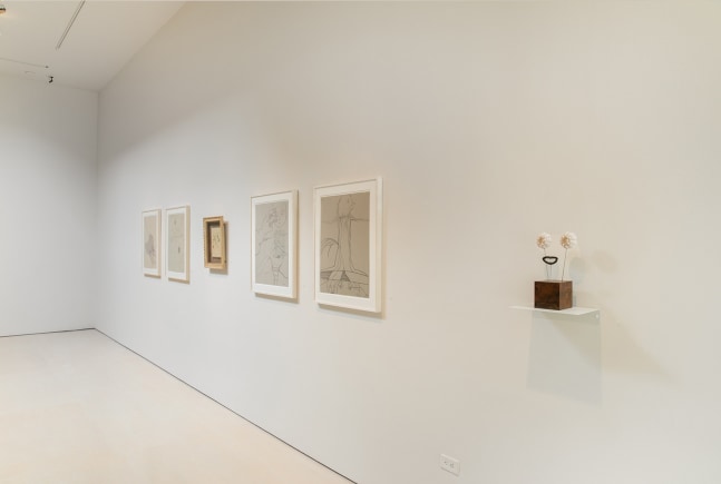 COSMIC EYE OF THE LITTLE BIRD