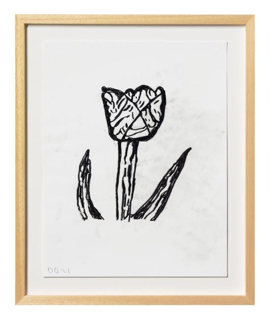 Donald Baechler Flower, 2021 graphite on Strathmore Archival Bond paper paper: 14 x 11 inches  frame: 17 5/16 x 14 1/4 inches