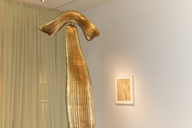 COSMIC EYE OF THE LITTLE BIRD