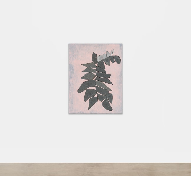 Sam Moyer (American, b. 1983, Chicago)

Skunk Fern, 2025

marble, granite, acrylic on plaster-coated canvas mounted to MDF

49 x 37 x 1 inches (124.5 x 94 x 2.5 cm)

the work is accompanied by a signed certificate of authenticity

(SM-P.25.1702)

&amp;nbsp;

Provenance:

The artist and Sean Kelly, New York/Los Angeles.