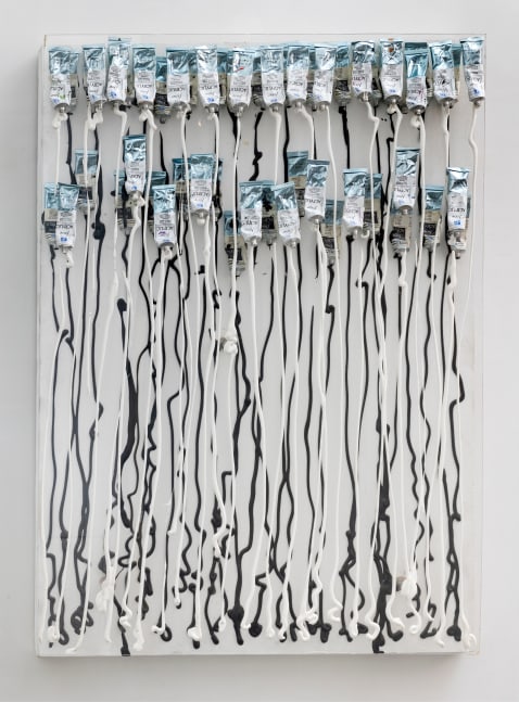 Untitled

2001

Paint tubes and acrylic on Plexiglas, on canvas

45 5/8 x 31 7/8 x 4 7/8 inches

115.9 x 81 x 12.4cm