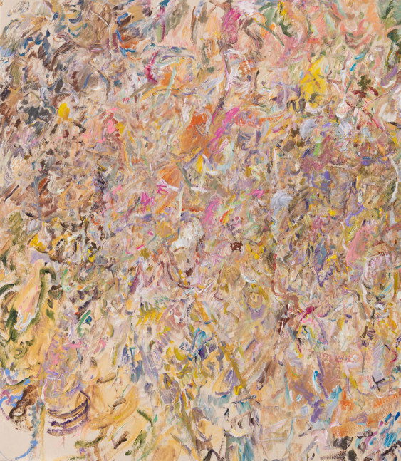 LARRY POONS (b. 1937)
Untitled (013A-8)

2013
Acrylic on canvas
66 x 57 1/2 inches

&amp;nbsp;