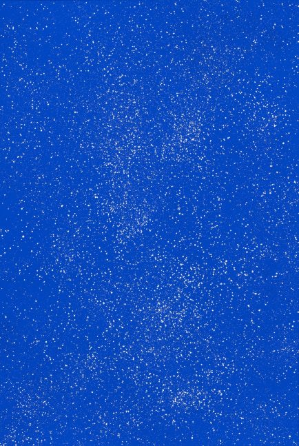 Galaxy

2021

Acrylic, Glitter, Gesso on Linen Canvas

48 x 71.75 inches

121.9 x 182.2cm
