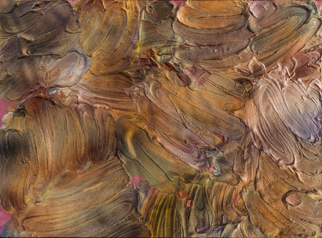 Cleopatra Flow

1990

Acrylic on canvas

59 1/2 x 80 inches

151.1 x 203.2cm