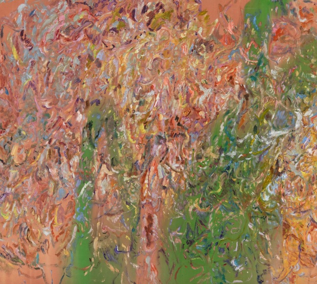 Untitled (09C-4)

2009

Acrylic on canvas

76 x 84 3/4 inches

193 x 215.3cm