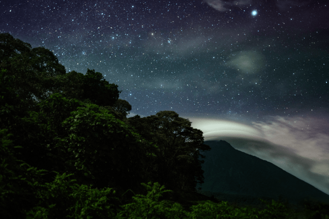 Night&amp;nbsp;(2017) archival pigment print;&amp;nbsp;1/24 36X24 IN