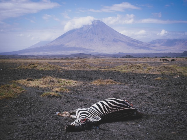 &amp;quot;The End of Dry Season&amp;quot;

2022. Ol Doinyo Lengai, Tanzania

48 x 39 inches