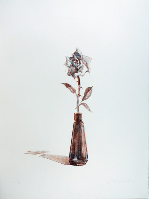 Rose,&amp;nbsp;from&amp;nbsp;Recent Etchings II,&amp;nbsp;1979
Color soft ground etching
Plate: 24 x 17 3/4 inches
Sheet: 29 3/4 x 22 3/4 inches
Edition of 50

$6,000