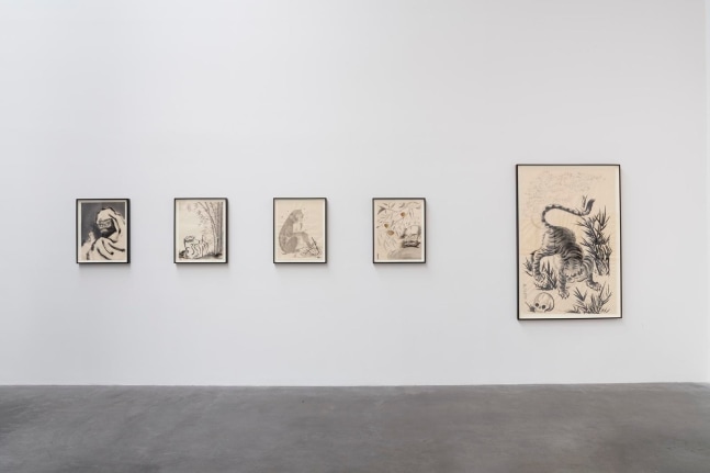 	dr. lakra, dr.lakra + mezcal los dos amigos, 2018