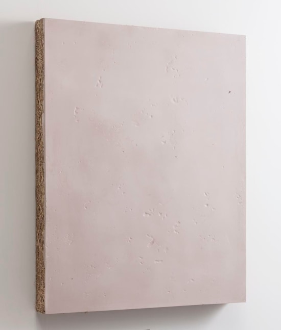 untitled, 2015

glued hay and resin

35.43 x 31.5 x 3.15 in.

&amp;nbsp;

&amp;nbsp;