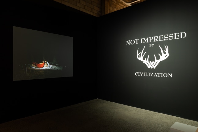 not impressed by civilization, 2005

acr&amp;iacute;lico en el mural de la pared y un video en color transferido a dvd

200 x 400 cm

13 min 20 seg