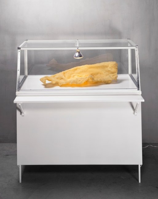 untitled (doy fe), 1998

cast fiberglass, enamel painted, steel, glass vitrine, lightbulb
55.12 x 55.12 x 39.37 in.

&amp;nbsp;

&amp;nbsp;