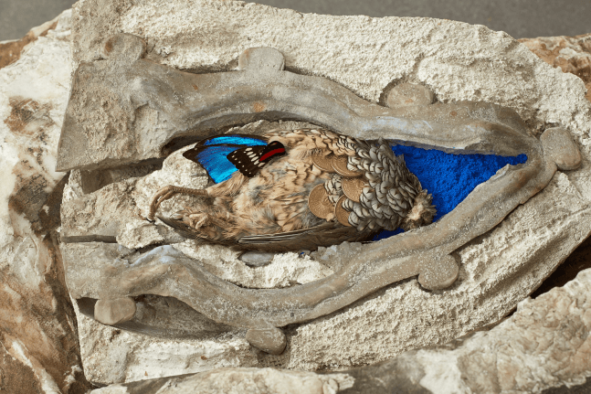 rinascimento, 2015

stones, pigments, metal, wood, found objects

variable dimensions

installation view of&amp;nbsp;rinascimento: adri&amp;aacute;n villar rojas,&amp;nbsp;fondazione sandretto re rebaudengo, tur&amp;iacute;n, italia, 2015

detail