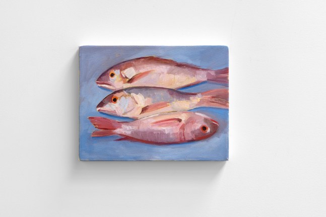 roberto gil de montes,&amp;nbsp;huachinangos, 2021

oil on canvas 23 x 32 cm&amp;nbsp;