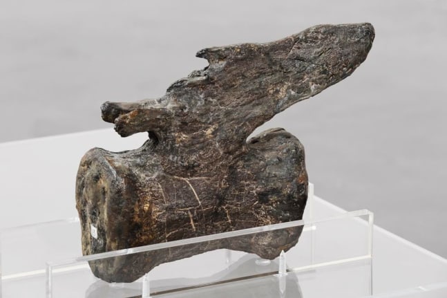 	performative ellipses, kurimanzutto, ciudad de m&amp;eacute;xico, 2016