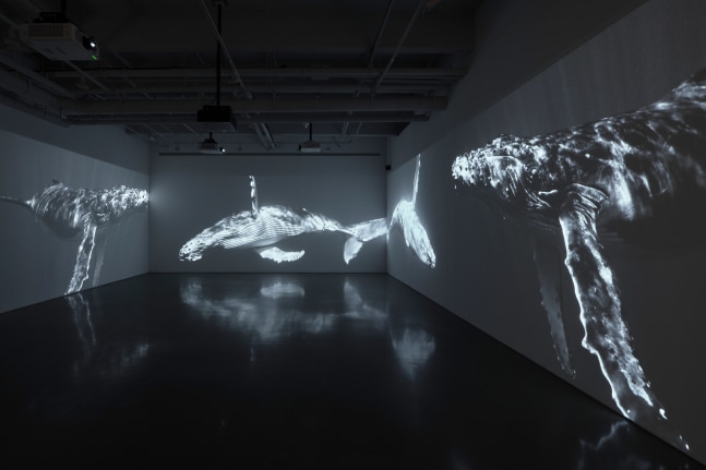 installation view soundwalk collective &amp;amp; patti smith: correspondences, kurimanzutto new york, 2025. photo: zach hyman