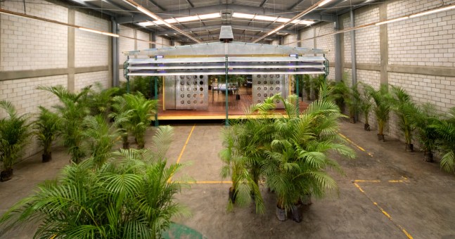 palm pavilion (2006-2008), 2006-2008

metal, wood, palm trees, striated and galvanized metal sheets, fiber glass, 10 aquarium lamps UV, 3 showcases

354.33 x 433.07 x 196.85 in.
installation view of palm pavilion,&amp;nbsp;kurimanzutto, mexico city, 2006