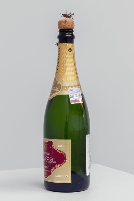 second chance I, 2013

champagne bottle with cork and no wire protector, cricket, pin

12.6 x 3.54 x 3.54 in.

&amp;nbsp;

&amp;nbsp;