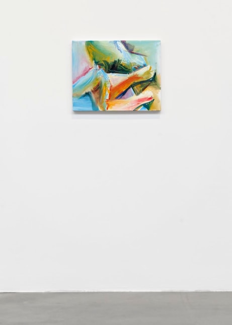 	wilhelm sasnal,&amp;nbsp;kurimanzutto, mexico city, mexico, 2011