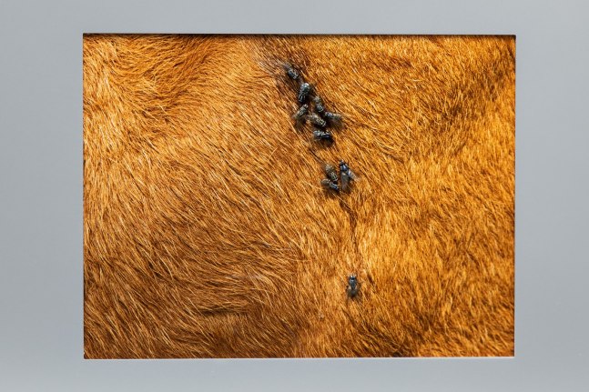 mod&amp;egrave;le vivant, kurimanzutto, mexico city, 2023