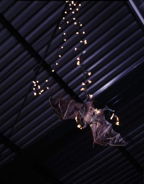 	miguel calder&amp;oacute;n, kurimanzutto, mexico city, mexico, 2006