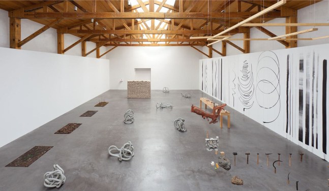 	dami&amp;aacute;n ortega, kurimanzutto, mexico city, 2011