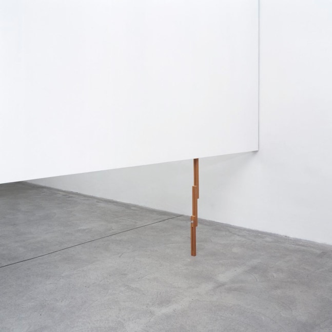 untitled (cola de zorro), 2009

wood, screws and dry wall

variable dimensions&amp;nbsp;

&amp;nbsp;

&amp;nbsp;