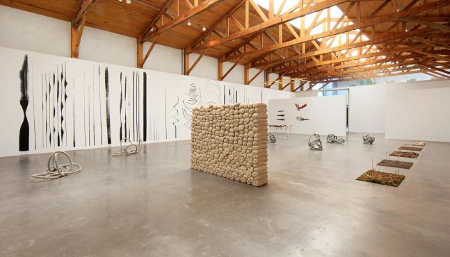 	dami&amp;aacute;n ortega, kurimanzutto, mexico city, 2011