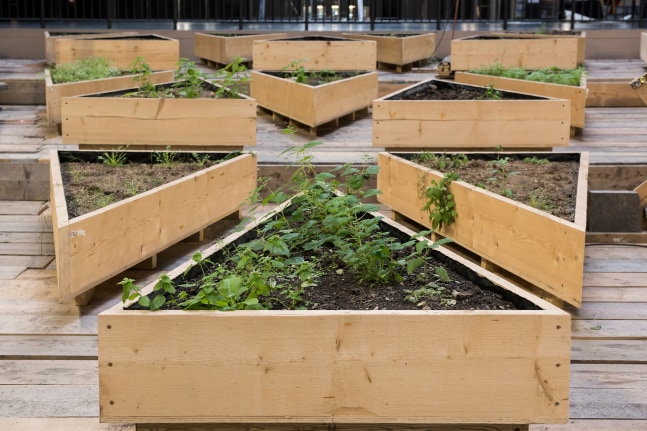 empty lot, 2015
mixed media
variable dimensions
installation view, hyundai commission turbine hall,&nbsp;tate modern, london, 2015