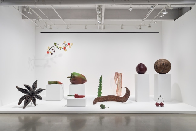 vista de instalaci&amp;oacute;n&amp;nbsp;ming fay: midnite porridge, kurimanzutto nueva york, 2025. foto: zach hyman