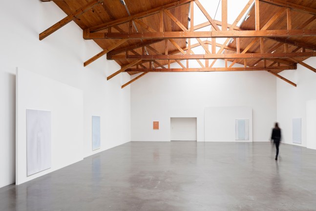 pale fire, kurimanzutto, mexico city, 2016