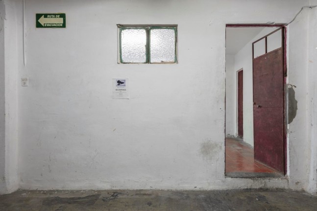 	ca&amp;iacute;da libre, mexico city, 2017