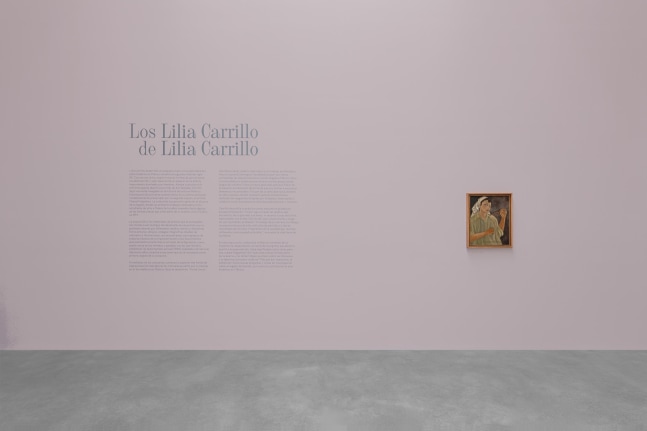 vista de instalaci&amp;oacute;n, los&amp;nbsp;lilia carrillo de lilia carillo, kurimanzutto ciudad de m&amp;eacute;xico, 2024. foto: gerardo landa / eduardo l&amp;oacute;pez (glr estudio)⁠