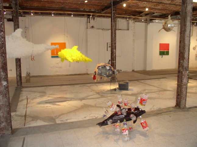 	la cuesta de enero y otros procesos protoecon&amp;oacute;micos, 5 de mayo 18, ciudad de m&amp;eacute;xico, 2005