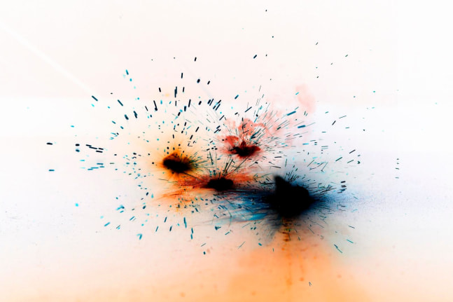 primates&amp;#39; memories, 2014

lightjet print on duratrands, lightbox

39.37 x 59.06 in.

&amp;nbsp;

&amp;nbsp;