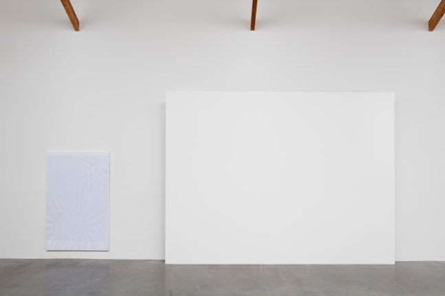 pale fire, kurimanzutto, mexico city, 2016